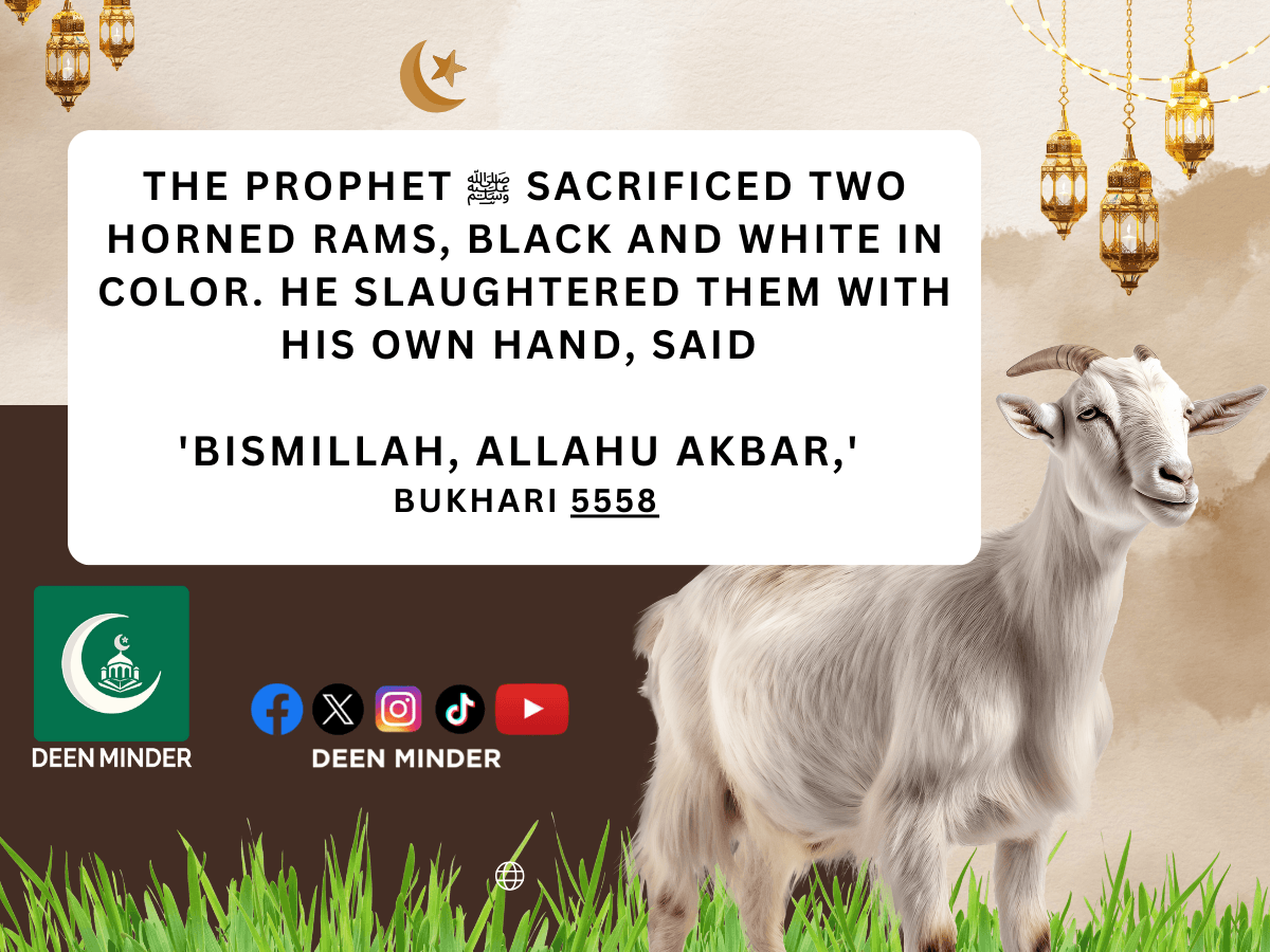 dua for slaughtering an animal, what to say before slaughtering an animal