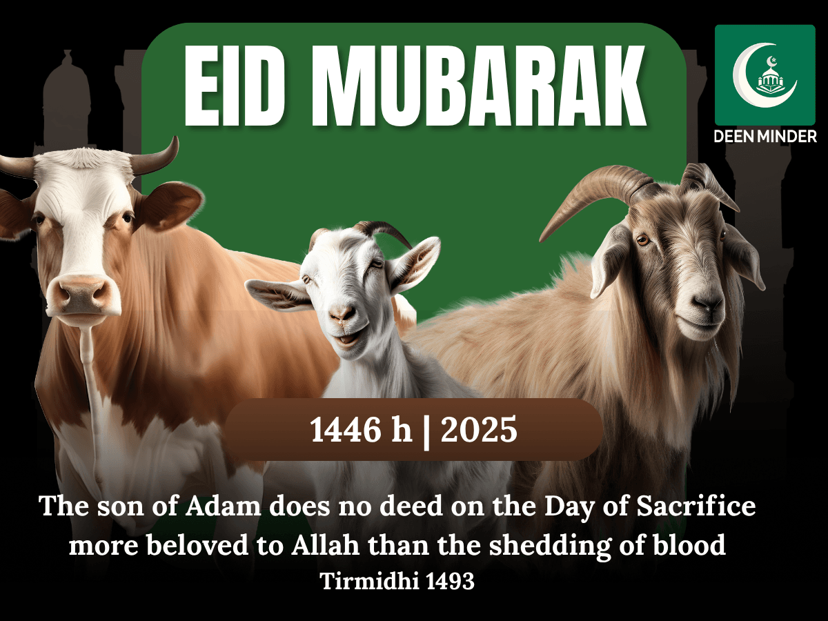 Virtues of the first ten days of Dhul Hijjah, importance of the first ten days of Dhul Hijjah, Things to do in the first ten days of Dhul Hijjah