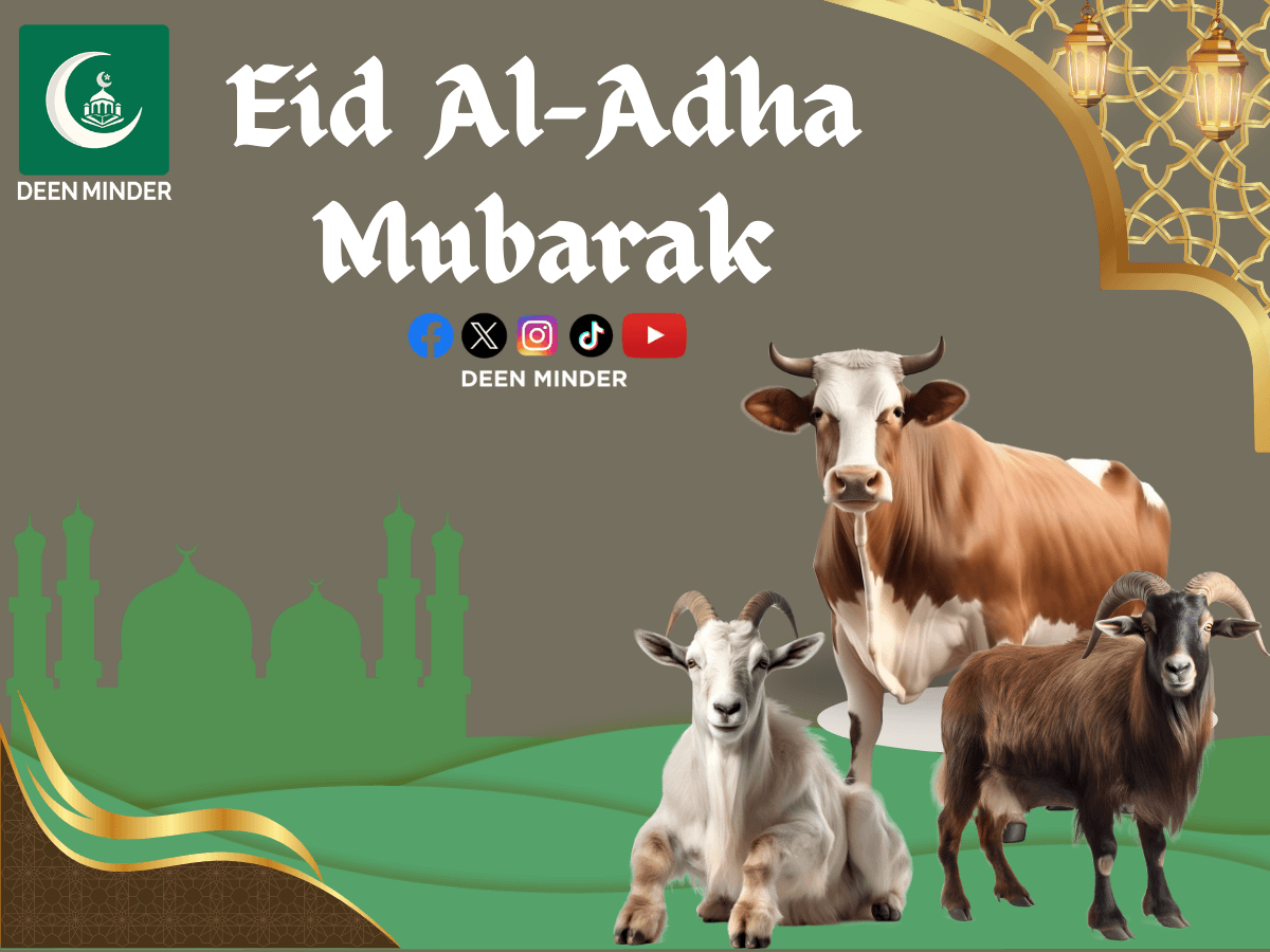 required age of animals for sacrifice, age of sacrificial animals