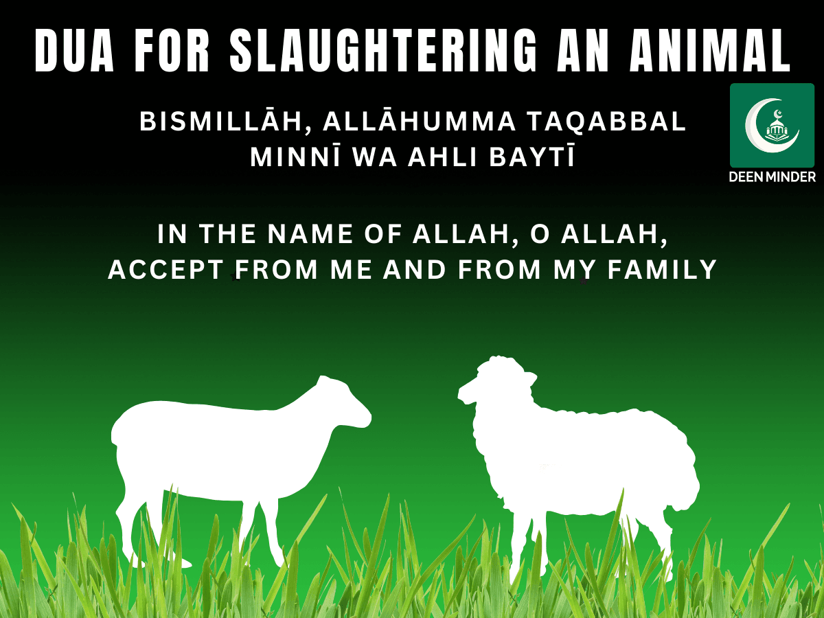 dua for slaughtering an animal, what to say before slaughtering an animal