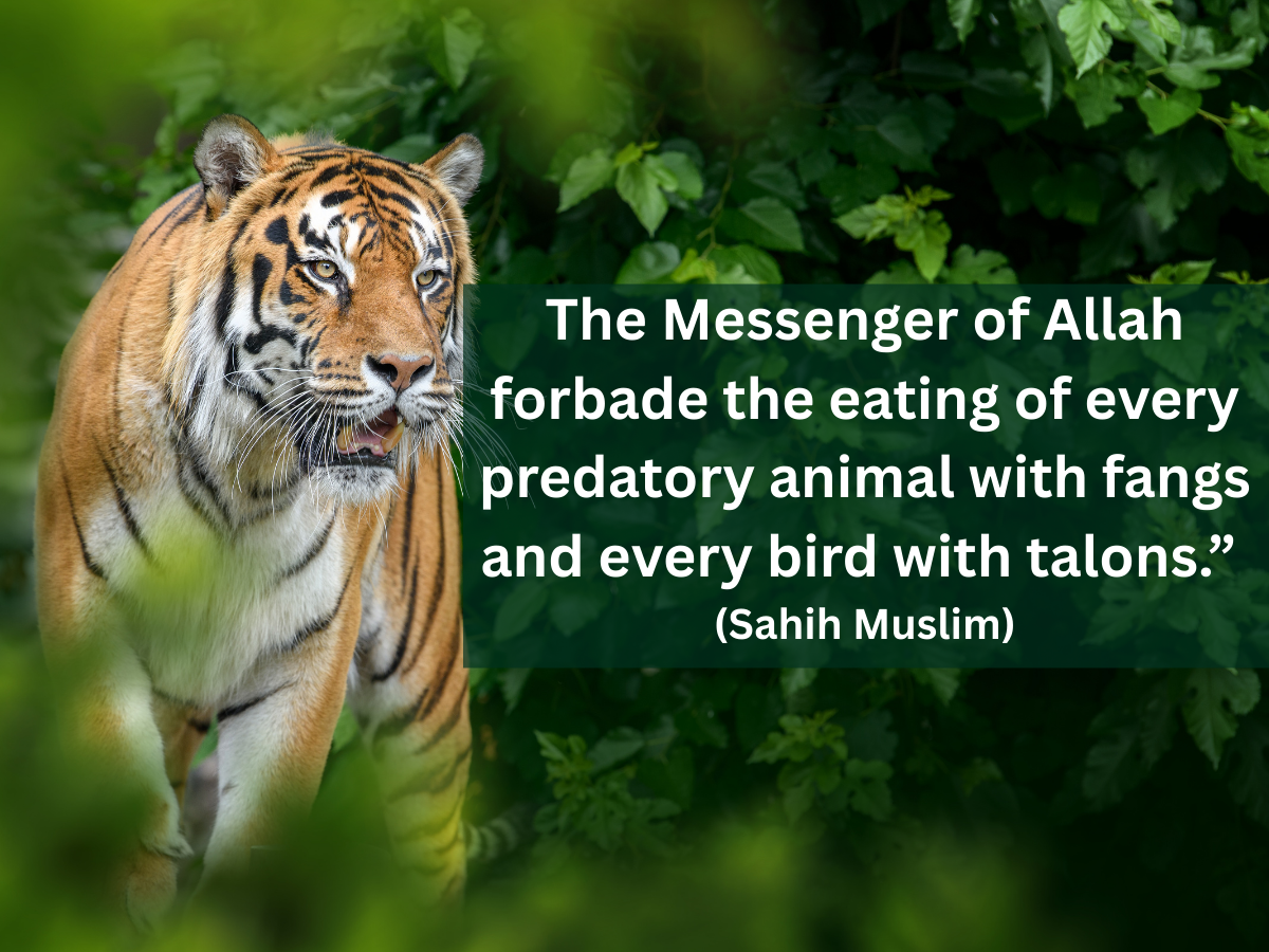 haram foods in Islam, Forbidden foods in Islam